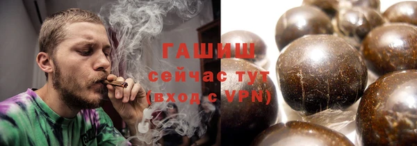 индика Елизово