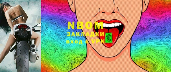 индика Елизово