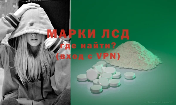 индика Елизово