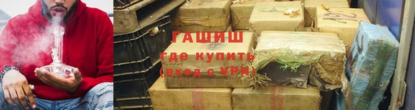 индика Елизово