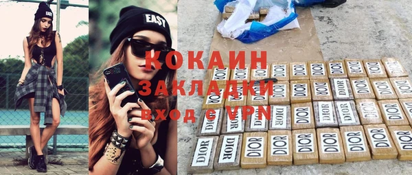 индика Елизово