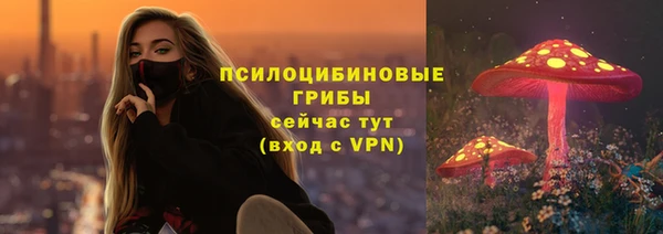 индика Елизово