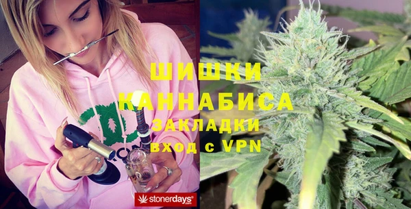 индика Елизово