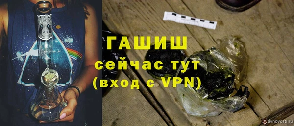 индика Елизово