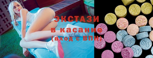 индика Елизово