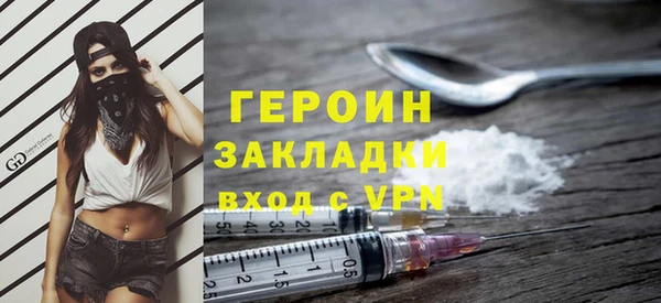 индика Елизово