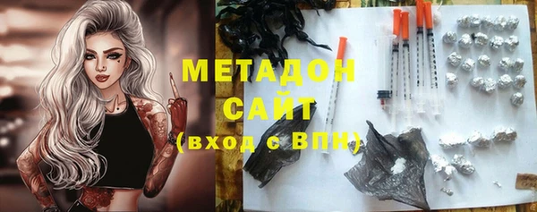 индика Елизово