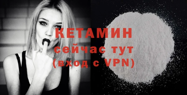 индика Елизово