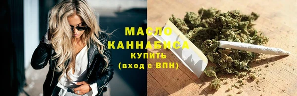 индика Елизово