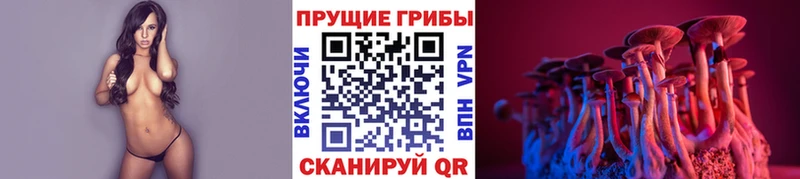 Купить закладки  Туапсе  Псилоцибиновые грибы GOLDEN TEACHER 